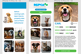 RSPCA Pet Care Mobile App: Concepts