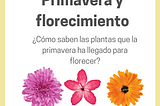 ¿Cómo saben las plantas que la primavera ha llegado para florecer?