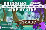 Step by step from BSC to Polygon