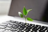 How to Transform Generic ChatGPT Outputs into Quality Content with “Seed Prompting”