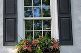 Window box filled with plants
