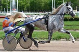 WHAT IS HARNESS RACING?