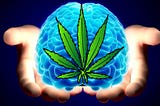 Cannabis Can Reverse Memory Loss