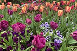 A Spring of Our Own