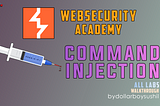 Portswigger — Command Injection All Labs Walkthrough(Bug Bounty Prep)[by dollarboysushil]