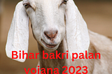 Bihar Bakri Palan Yojana 2023 ऑनलाइन आवेदन दस्तावेज़, लाभ