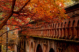 Autumn Arches, Japan