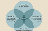 Social Media and Happiness: Navigating the Digital World