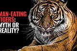 Man-Eating Tiger: Myth or Reality?