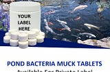 Pond Bacteria Muck Tablets | CassCo Bio Labs