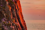 Thrift-Covered Cliffs on the Isle of Man