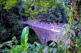 Viaducts in Sri Lanka: Beyond the Nine Arches Bridge