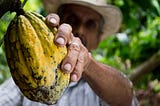 ¿De qué va el proceso de paz en Colombia?