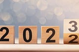 2022 Year in Review & 2023 Expectations