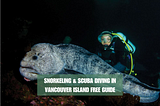 Snorkeling & Scuba Diving in Vancouver Island Free Guide