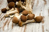 Top 3 Psilocybin Mushrooms: Characteristics and Effects
