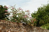Keeping Your Walled Garden Flourishing Yet Accessible Too