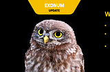 Exonum Releases v0.13 with Support for Dynamic Services