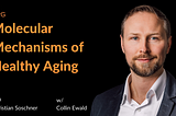 Molecular Mechanisms of Healthy Ageing