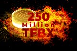 Largest TFBX Burn Ever will be in On July 9th