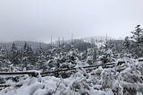Závěrečná etapa přes Jeseníky — Harrachov => Liberec