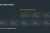 Hard Fork vs Soft Fork