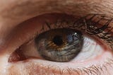 Ny undersøgelse: Vores øjne er et paradis for vira