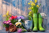 7 Nitty-gritties of gardening to keep in mind