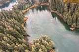 Walking with bears on Afognak Island