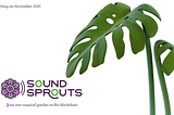 Introducing Sound Sprouts. A unique NFT social project.