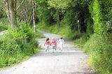 Three little girls run along a wooded path; viewed from the back