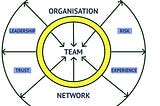 Appropriate Governance Design: A Framework