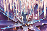 women with open arms rising from flower made of the isicles above