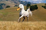 Would you rather fight a horse-sized duck or a 100 duck-sized horses?