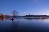 With dawn approaching, stars twinkle in the sky above the famous tree at Lake Wanaka, on New Zealand’s South Island.