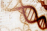 Does DNA only code for Protein Synthesis?