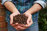 The Opportunities and Challenges of Insect Farming for Feed