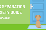 Dog Monitor & Leading Vets Created Dog Separation Anxiety Guide