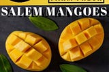 SALEM MANGOES DIRECTLY FROM THE FARM TO YOUR HOUSE !