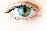 6 Main Ingredients For Healthy Eyes