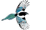 Magpie