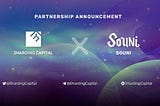 Sharding Capital invested in SOUNI ✨