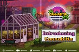 Introducing Cannabitia🌿