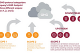 How do companies set carbon targets?