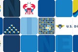 Blocks in three horizontal lines resemble the sides of  a Rubik’s cube. Various graphic images with squares and blocks. A crab with a red and white striped shield and white on blue stars. The word “NINE” is spelled out. “U.S. Digital Service”