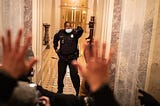 U. S. Capitol Police Officer Eugene Goodman leading domestic terrorists in support of President Trump away from the Senate.