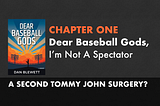 Dear Baseball Gods: A Memoir | Free Sample Chapter of the Book