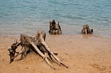 An Introduction to Spring Declarative HTTP Client