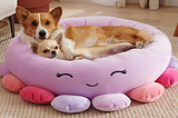 A product images from the Squishmallows dog bed listing on Amazon.com