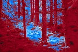 Red & Blue